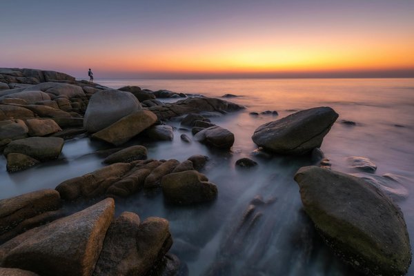 Comment vivre une expérience authentique de wwoofing dans une ferme biologique en Nouvelle-Zélande?