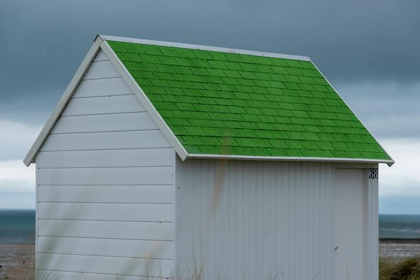 Tarangire simba lodge : un endroit moderne avec un design traditionnel